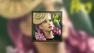 the one that got away katy perry tiktok version 