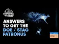 How to get Snape Harry s Patronus on Wizarding World Pottermore Hogwarts Legacy