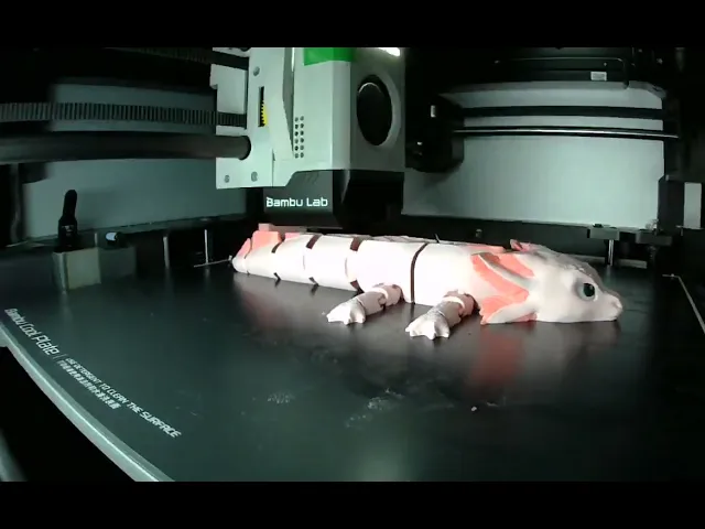 Articulated Axolotl Toy video thumbnail