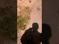 Download Lagu O frango dá portuguesa