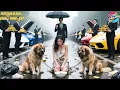 Download Lagu Billionaire Heiress Switched at Birth, Raised Orphan, Returns 10 Years Later to Reclaim Her Fortune