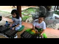 Download Lagu Bali Study Abroad - Cultural Immersion Group from Singapore learning Gamelan Selonding