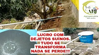 LUCRO COM OS DEJETOS SUÍNOS, TUDO SE TRANSFORMA NADA SE PERDE!!!