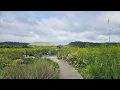 Community Prairie Decorah Iowa