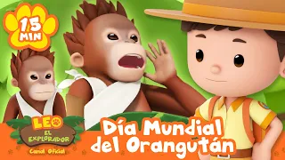 ¡Celebrando el Día Mundial del Orangután con los Rangers! | Leo, El Explorador | Animación