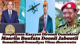 Itoophiyaan Kaayyoo Diroonii Oomishteef Ibsite Masriin Buufata Doonii Haarawa Jabuutitti Tigraayi 