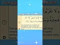 Download Lagu lagu jangan kau bohong😒