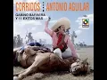 El mero dia de San Juan - Antonio Aguilar