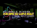 Lagu DJ REMIX KACANG LUPA KULIT || DJ REMIX TERBARU 2023