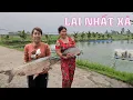 Download Lagu Cá Trắm luộc quấn lá lốt, buổi Bán cá giống trúng đậm chọn toàn con to đánh chén