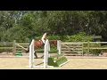 Download Lagu **Schweppes** - 4yr mare by Extase (Casall) x Diarado