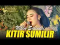 Download Lagu Terbaru Niken Salindri - Kitir Sumilir - Campursari Mayangkara live Geneng Tarokan 2023