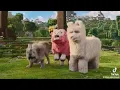 Download Lagu Mine craft universe of the game of the Walt of me McDonalds Australia