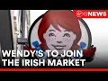 International fast food chain Wendy s is planning to enter the Irish market