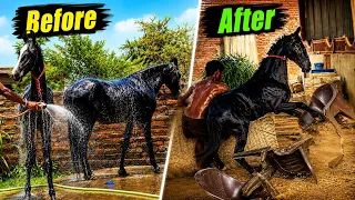 Panchmukhi Aisa Krdegi Cold Shower Ke Baad 😢New Surprises at Farm 🔥