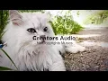 Download Lagu Spring In My Step   Silent Partner (No Copyright Music) - Creators Audio