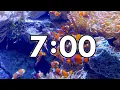 7 Minute Timer With Calming Music - Clown Fish