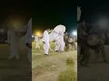 Lagu Horse Dance|White Horse Dance|Pakistani Mela|#dance #horse #dancecraze #nach #horsedance #bull
