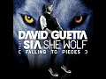 David Guetta Ft. Sia - She Wolf  (Falling To Pieces ) EXTENDED