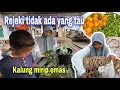 Download Lagu 200K TIDAK CUKUP UNTUK EMPAT HARI⁉️ DENGAN MENCARI SAYUR DI PASAR BISA LEBIH HEMAT