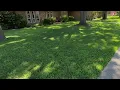 The Secret to a Beautiful North Texas Lawn Under Heavy Tree Cover