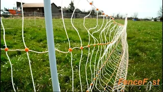 Poultry Netting Brands Comparison Chicken Netting Electric Chicken Fencing