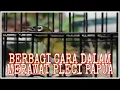 Lagu CARA MERAWAT PLECI PAPUA AGAR CEPAT GACOR DAN BERBAGI TRIK MENGVOERKANNYA