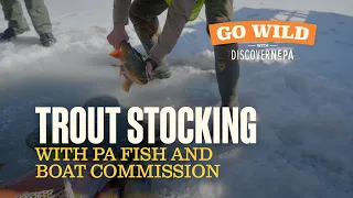 GO WILD with DiscoverNEPA Trout Stocking with PA Fish and Boat Commission Hazle Twp PA