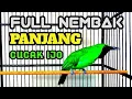 Lagu FULL Nembak Panjang-Panjang - Cucak Ijo Ngotot bongkar Isian Kasar