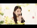 [Live Clip] 케이시(Kassy) - 언제나 사랑해 (Always love you) | 조영수 리메이크 프로젝트 Part.2