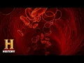 Ancient Aliens Rh-Negative Season 11 History