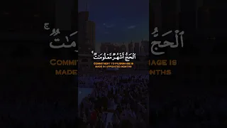 الحج أشهر معلومات البقرة 197 القارئ ياسر الدوسري Shorts Fyp Viral Islam Islamic Quran Hajj 