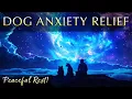 Dog Anxiety Relief Music - 852Hz Frequencies for Peaceful Rest and Healing