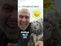 Download Lagu 🎉🐇 happy 5th birthday to our sassy little rabbit king! 🎂🌞#funny #rabbit #birthday #viral