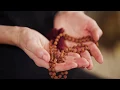 What Are Mala Beads