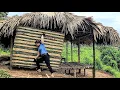Download Lagu Single mother completes bamboo wall for dream house alone | @daianfarm 