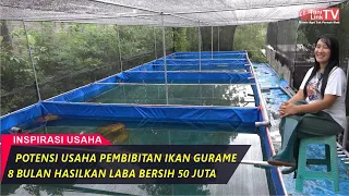 Download Kupas Tuntas Usaha Bibit Gurame Dari Telur, Pemeliharaan \u0026 Pemasaran MP3