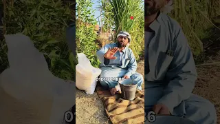 خلي بااااالك 