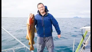 This BIG CATCH in just 90 SECONDS!!  –  Sailing Norway (MJ Sailing – Ep 128)