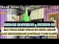 Download Lagu HINDARI MASTERAN BURUNG INI UNTUK CUCAK IJO ANDA ATAU BISA FATAL