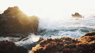 Free Stock s 4K Review and Download from pexels com