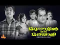 Download Lagu Marunnattil Oru Malayali | Prem Nazir, Vijayasree, Adoor Bhasi, Prameela - Full Movie