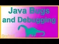 Java Program Bugs and Software Debugging Overview - Java Tutorial