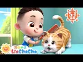 Lagu 带猫咪看医生 +更多 | 猫咪生病去医院| 幼儿启蒙 | 中文儿歌 | 人气童谣 | LiaChaCha 依娜和恰恰 - 简体中文 - 儿歌童谣