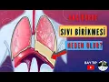 Lagu AKCİĞERDE SIVI BİRİKMESİ NEDEN OLUR? PLEVRAL EFFÜZYON NEDEN OLUŞUR? AKİĞERDE SIVI YAPAN HASTALIKLAR