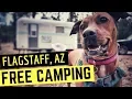FREE CAMPING in Flagstaff Arizona Full Time RV Life Cheap RV Living Boondocking in Arizona