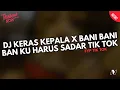 DJ KU HARUS SADAR BANI BANI BAN VIRAL TIK TOK SOUND YANG KALIAN CARI @prurihnsm X NAILUL AL 
