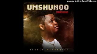 07 dladla mshunqisi sabela umshunqo version feat mampintsha u0026 rhythm soundz