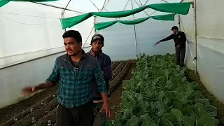 deep khati about his village pindary glacier trek 2018 