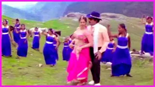 sobhan babu nagma surabhi evergreen superhit song nandigama kurradu song adavi dora songs